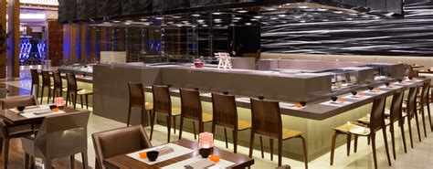 yakumi solaire|Yakumi Solaire North .